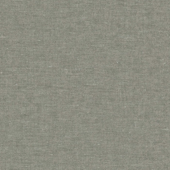 Non-woven wallpaper, Fabric imitation, 219645, Grounded, BN Walls
