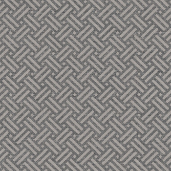 Gray wallpaper with intertwined pattern 221151, Rivi?ra Maison 3, BN Walls