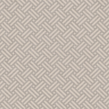 Beige wallpaper with an intertwined pattern 221150, Rivi?ra Maison 3, BN Walls