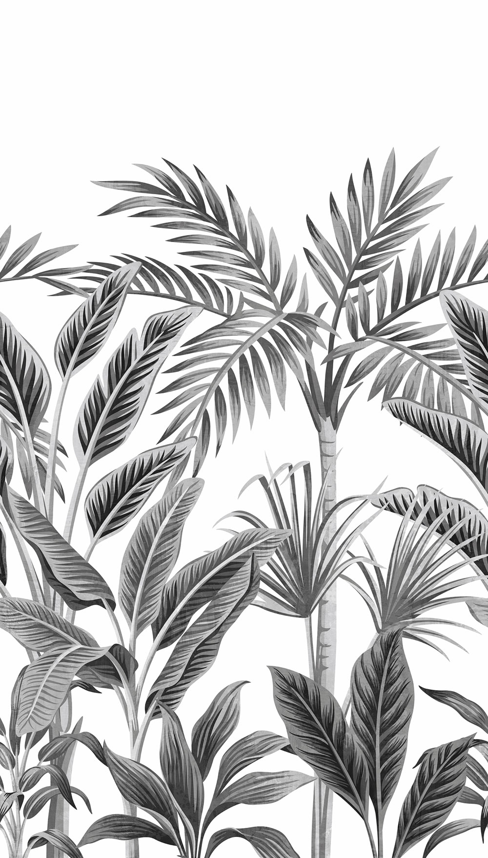 Beige wallpaper, Tropical leaves, palms, A40801, One roll, one motif 2, Grandeco