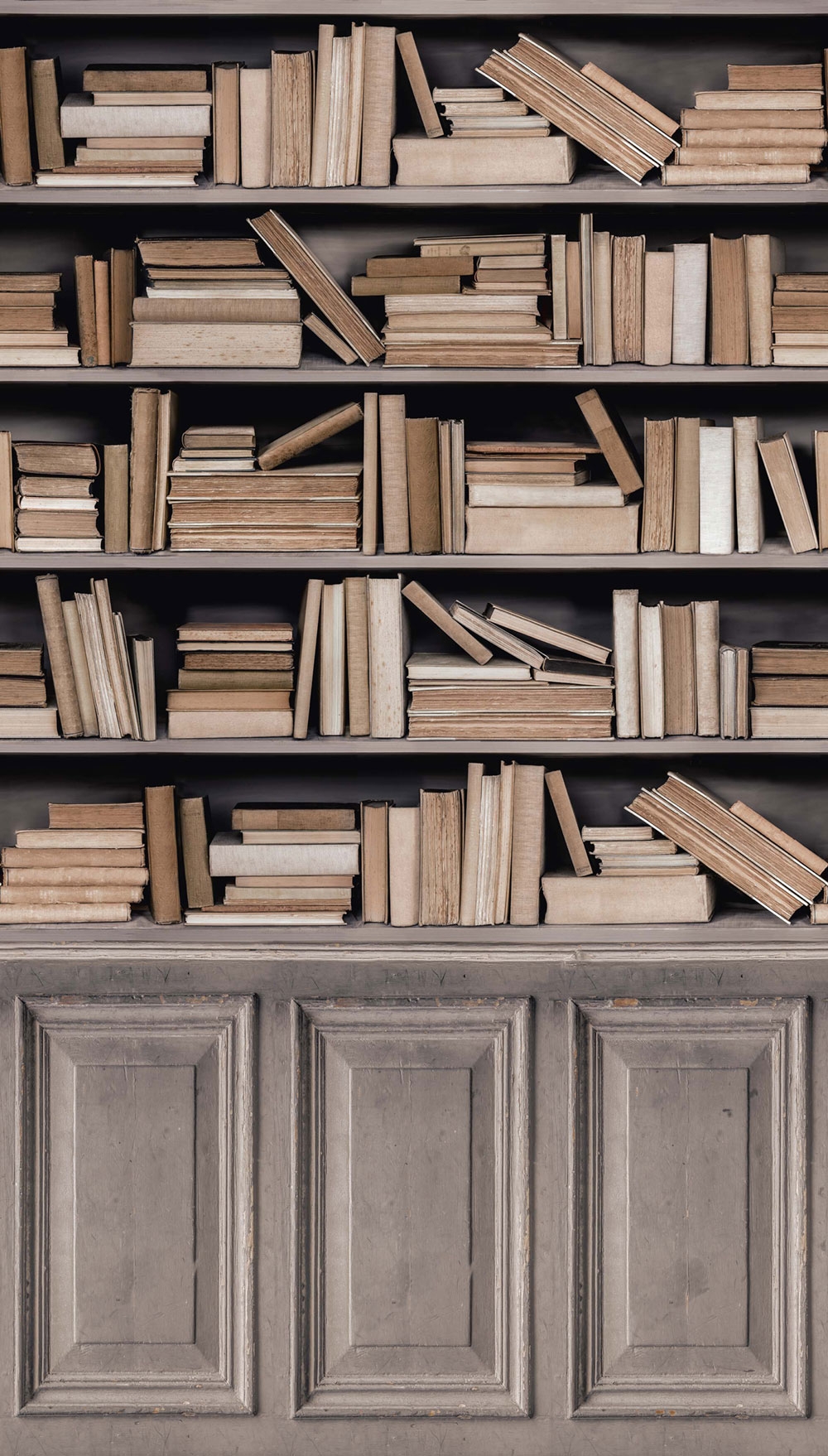 Wall mural Library A41601, 159 x 280 cm, Historian, Murals, Grandeco