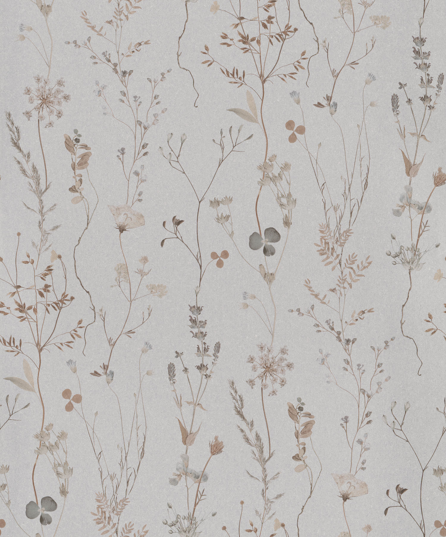 Gray wallpaper with meadow flowers, 221344, Botanical, BN Walls
