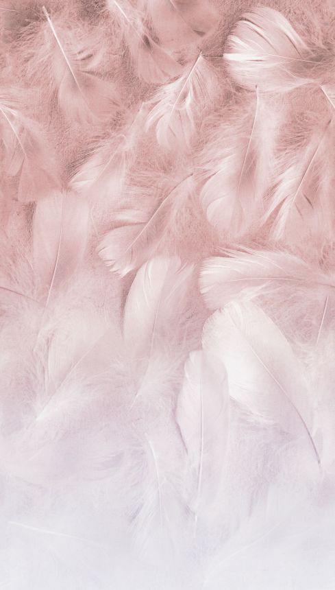 Pink wall mural with feathers, ML1001, Mural Young Edition, Grandeco