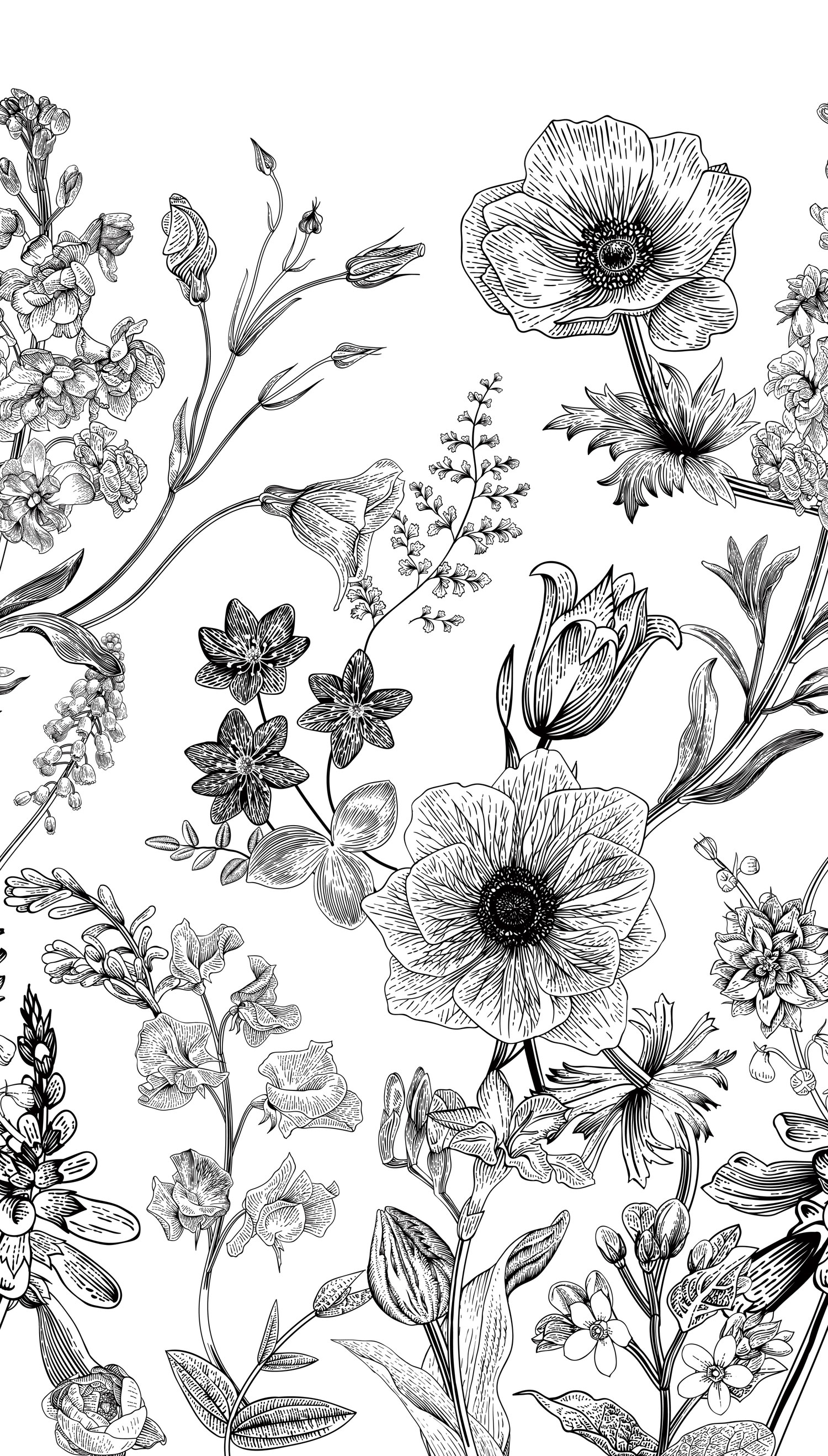 Wall mural, Black and white flowers, ML1601, Mural Young Edition, Grandec