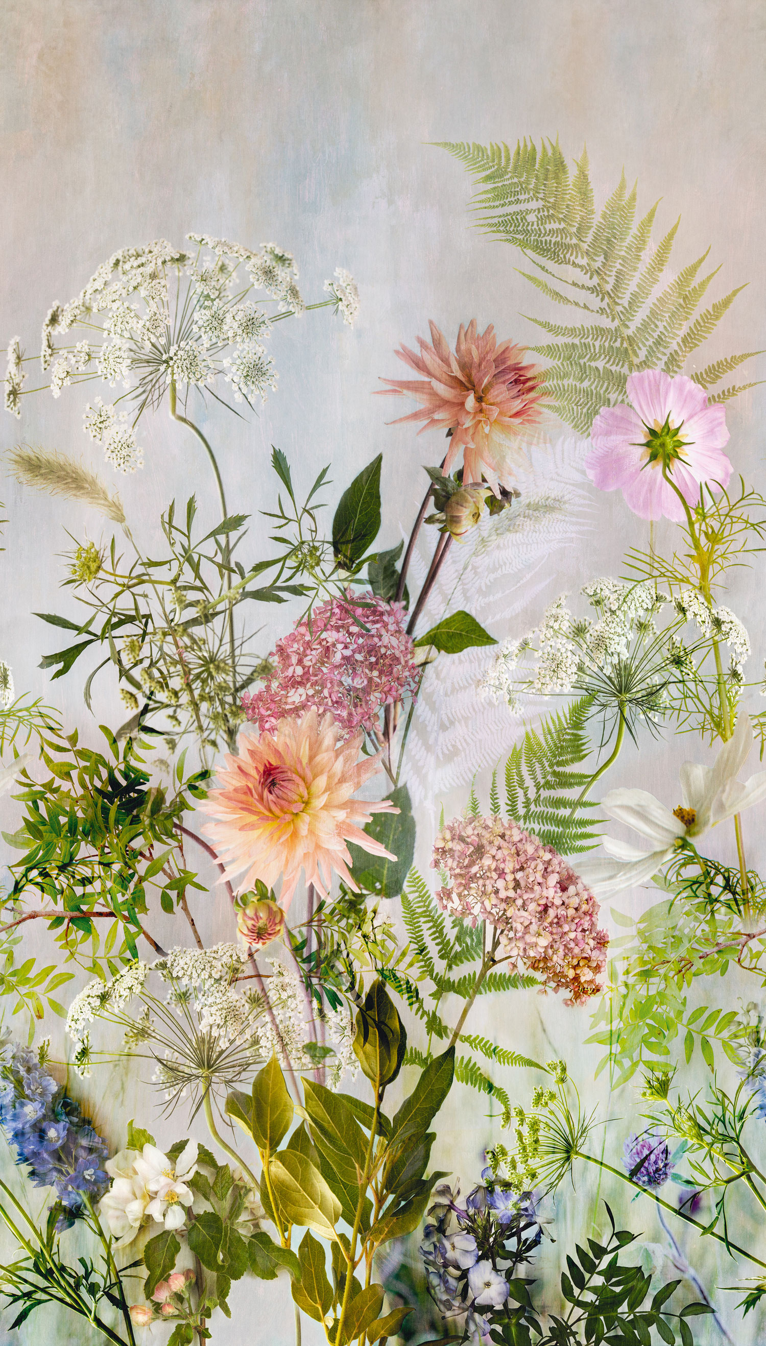 Wall mural with flowers, ML2001, Mural Young Edition, Grandeco