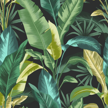 Black wallpaper, tropical leaves, 118721, Envy