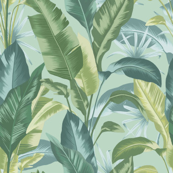 Green wallpaper, tropical leaves, 118615, Envy