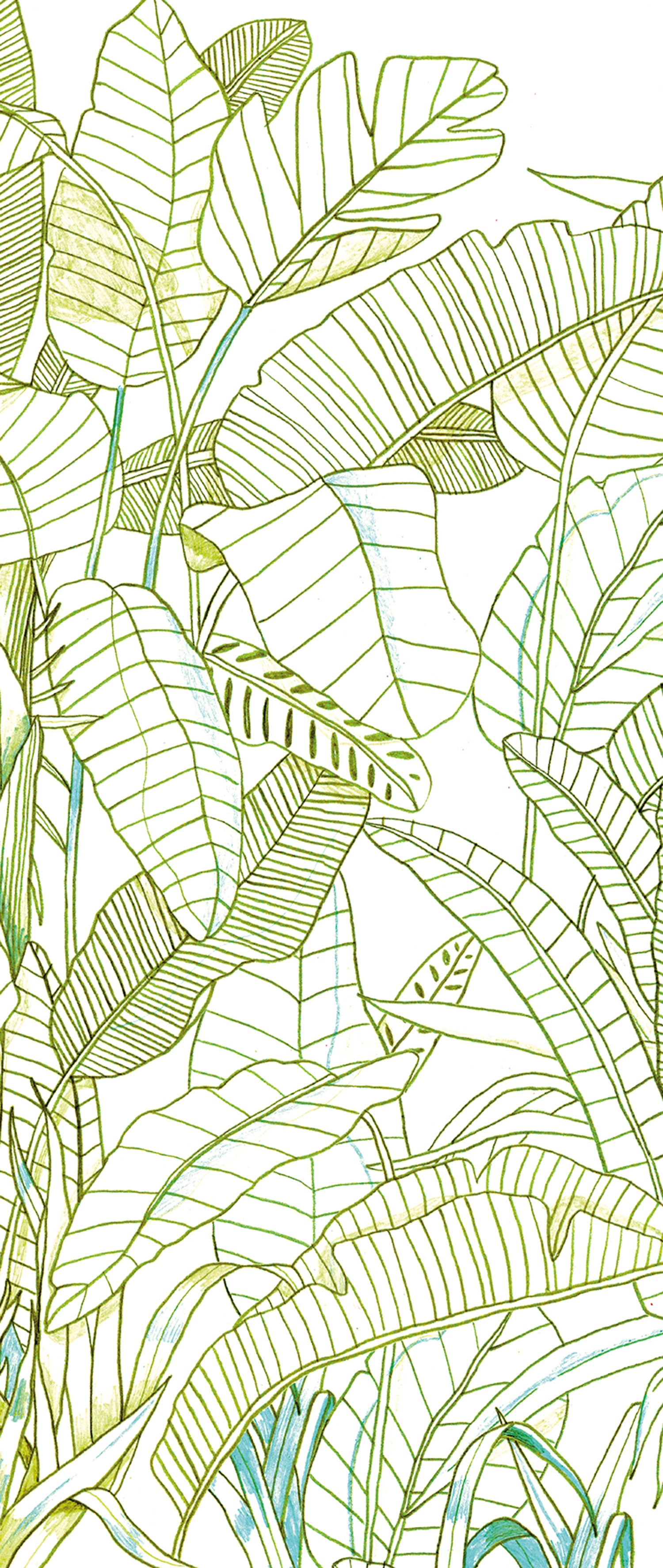 Green wall mural, Leaves, DG3GRA1013, Wall Designs III, Khroma by Masureel