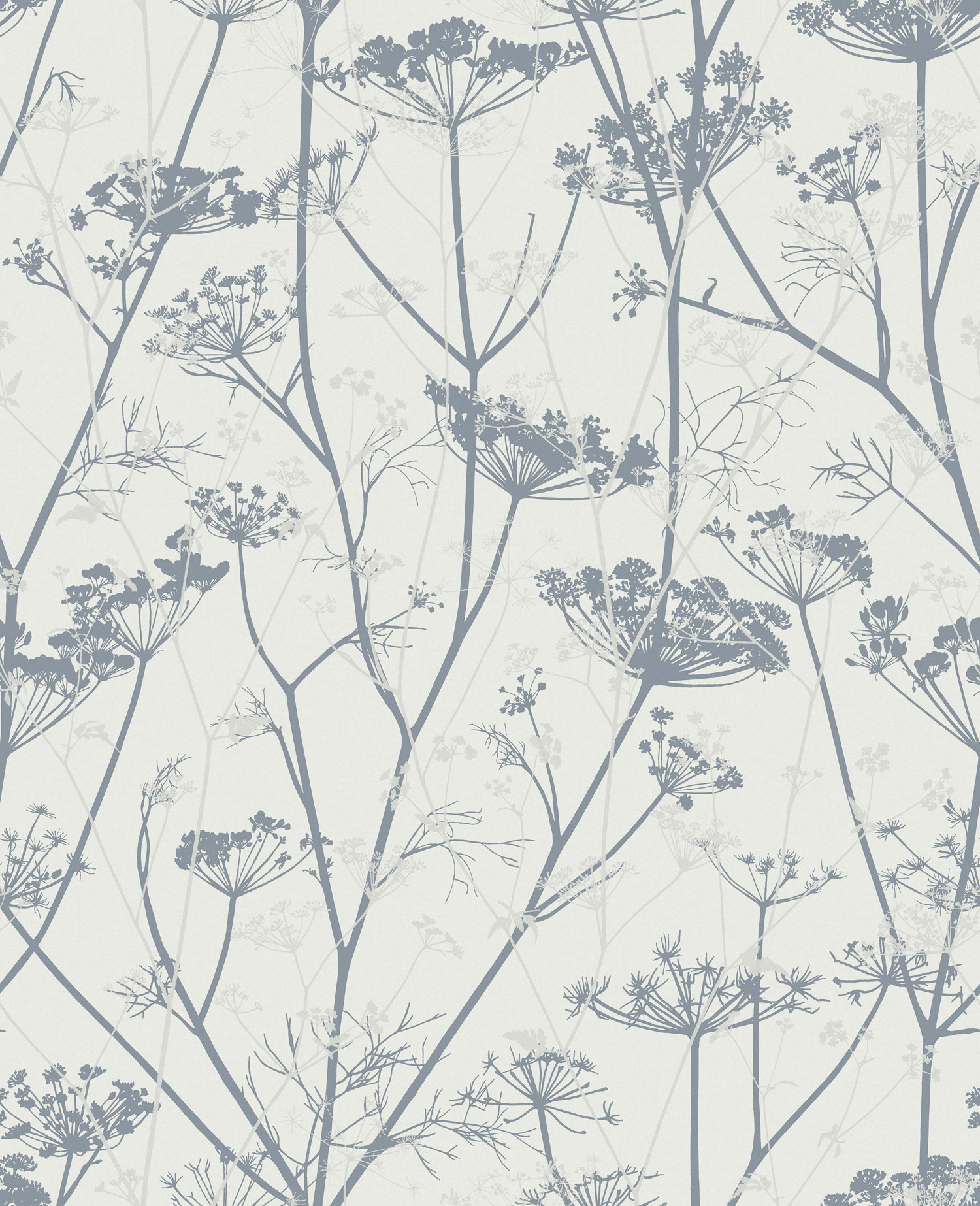 Gray wallpaper, meadow grasses, 120383, Wiltshire Meadow, Clarissa Hulse