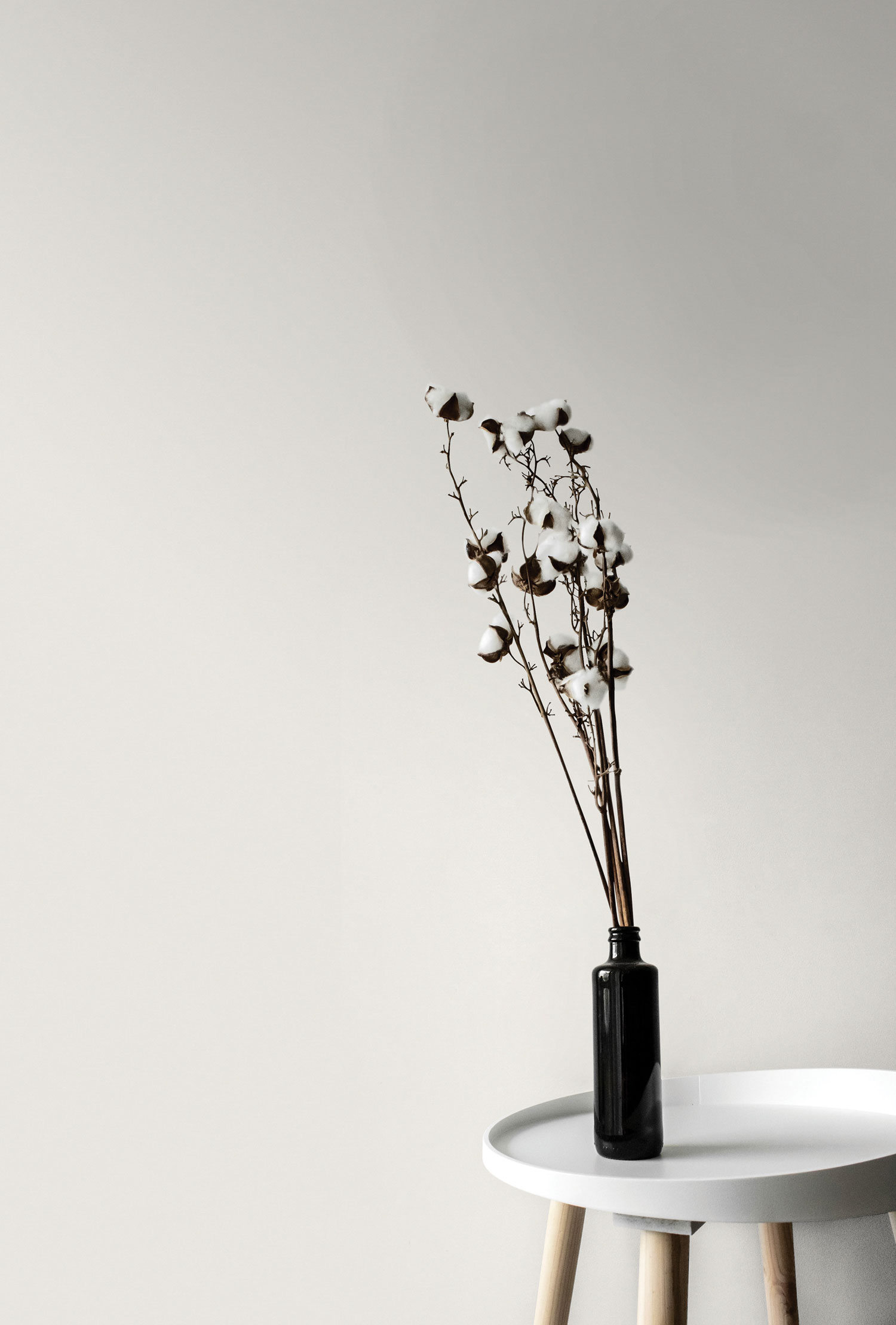 White wallpaper, plaster imitation, A65601, Vavex 2025