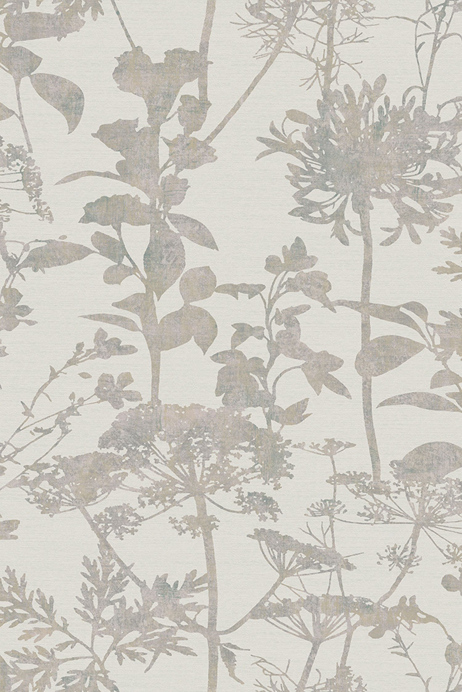 Gray-beige wallpaper, nature, grasses, 121430, New Eden, Graham&Brown Premium