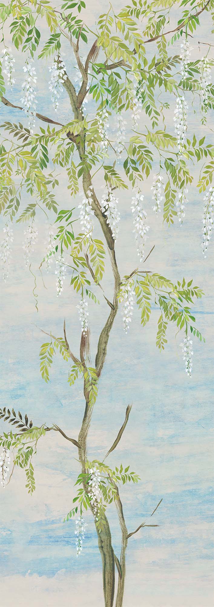 Non-woven wall mural, flowers, trees, wisteria, DG4PAT1023-300, Wall Designs IV, Khroma by Masureel
