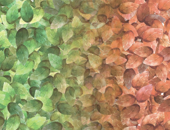 Non-woven mural wallpaper 5005 Garden Leaves, 340 x 260cm, My Dream, Vavex