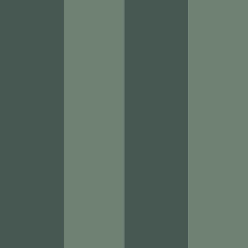 Wallpaper, green, stripes, 35965, Ornamenta, Parato by Cristiana Masi