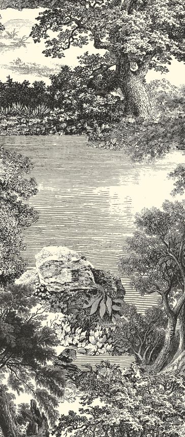 Mural wallpaper, black, forest, trees, DGSAL1011-260, Amazone, Masureel