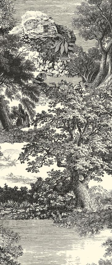 Mural wallpaper, black, forest, trees, DGSAL1013-300, Amazone, Masureel