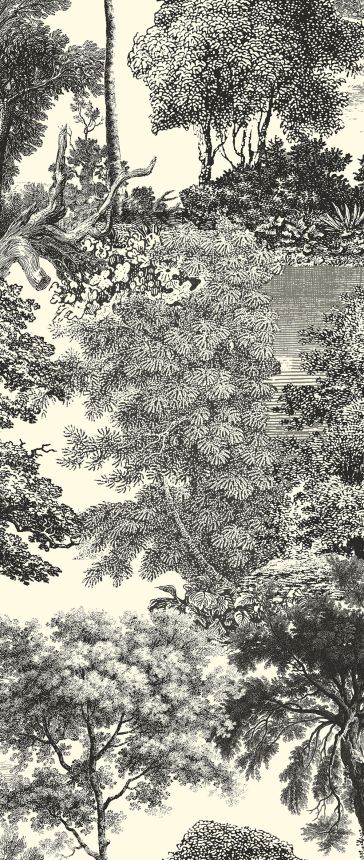 Mural wallpaper, black, forest, trees, DGSAL1014-260, Amazone, Masureel