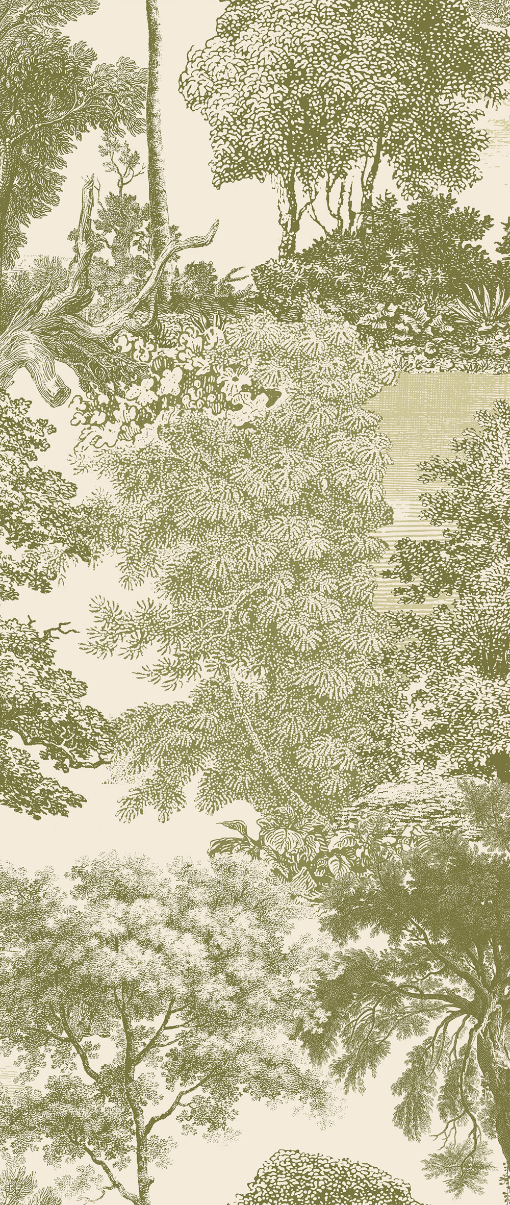Mural wallpaper, green, forest, trees, DGSAL1034-300, Amazone, Masureel