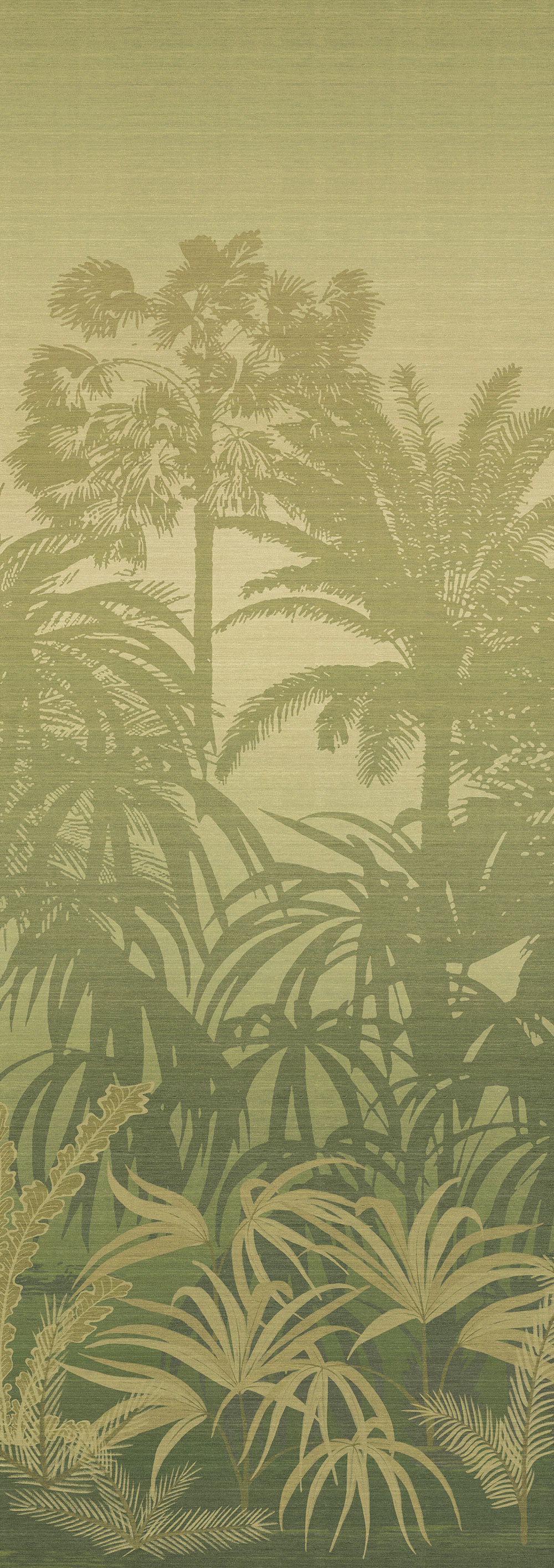 Mural wallpaper, green, palms, DGZON1021-260, Amazone, Masureel