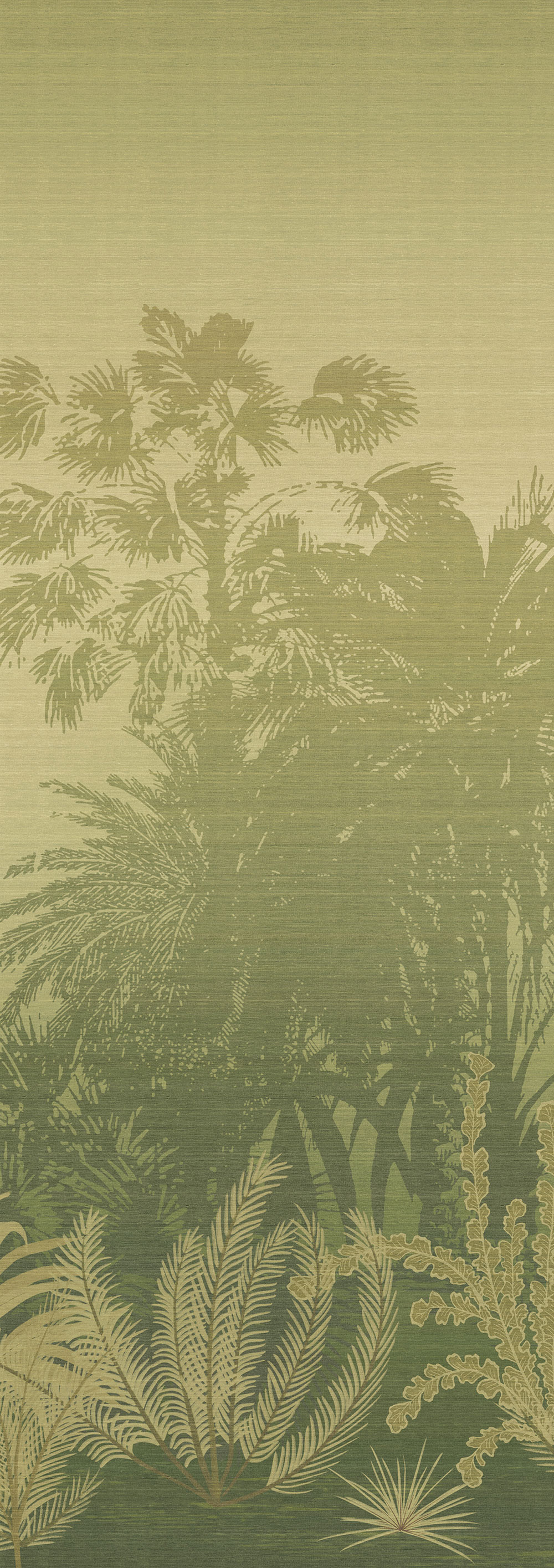 Mural wallpaper, green, palms, DGZON1023-260, Amazone, Masureel