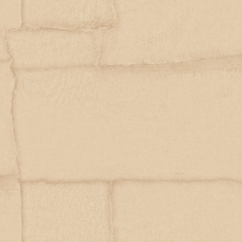 Luxury wallpaper, beige, stone, Z30304, Casa 8, Trussardi