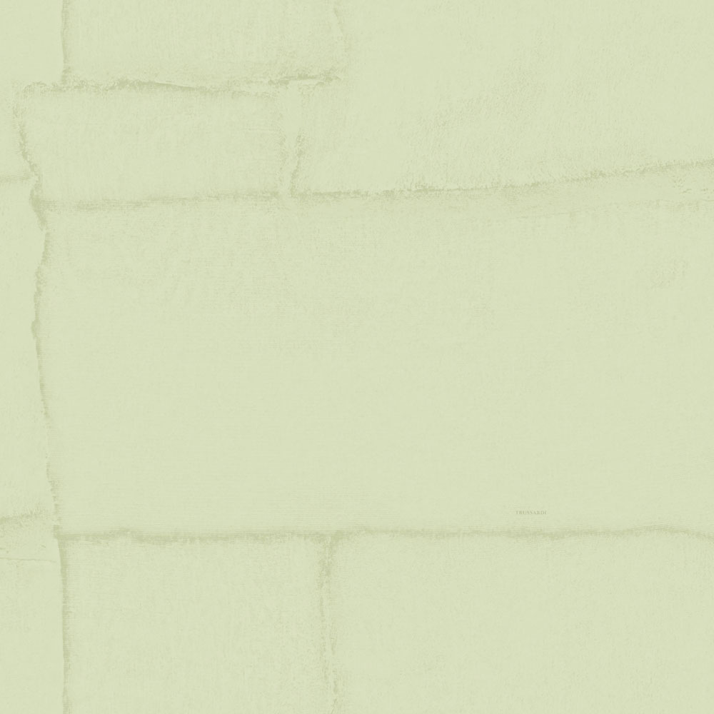 Luxury wallpaper, green, stone, Z30310, Casa 8, Trussardi