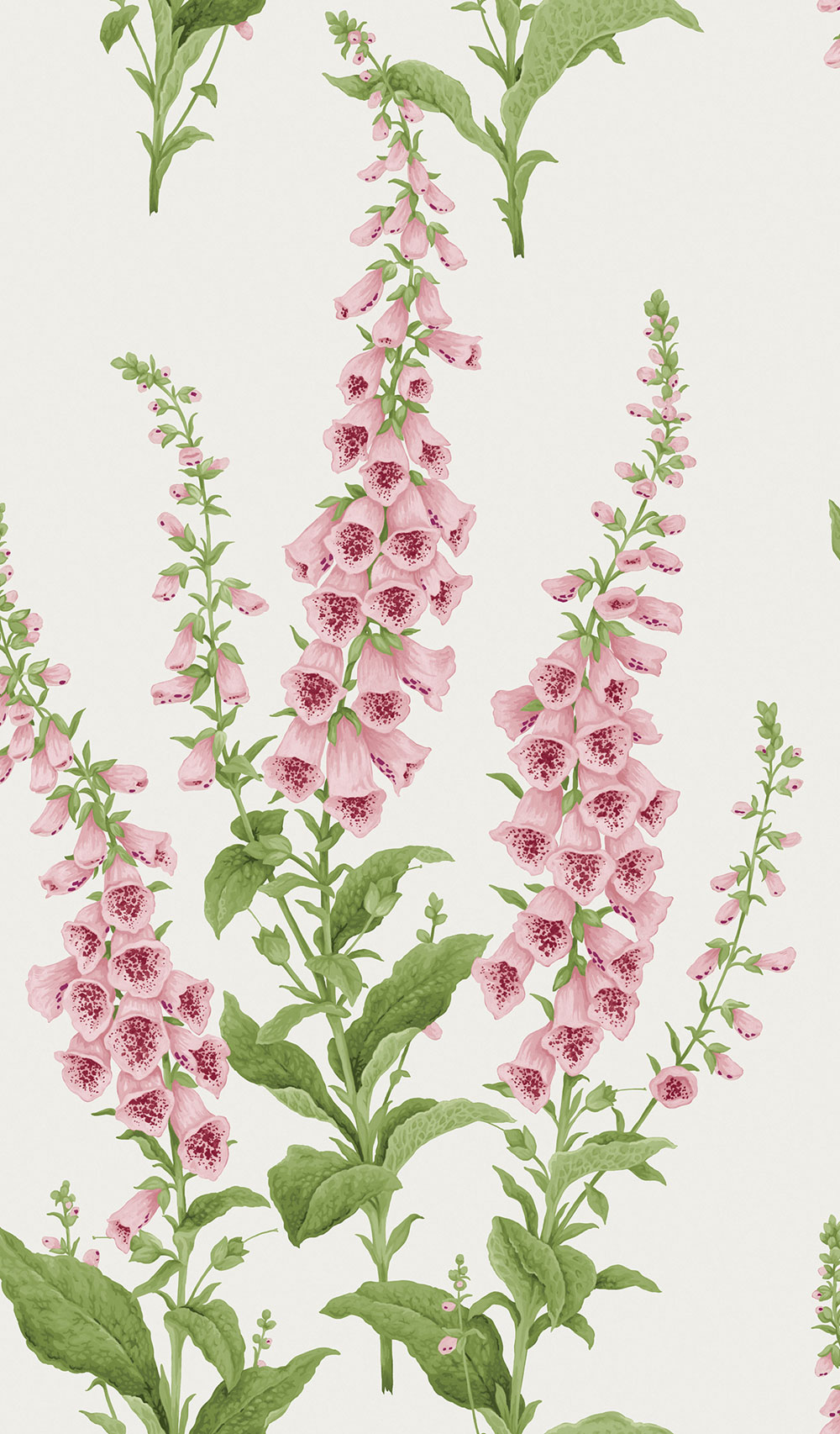 Wallpaper, cream, flowers, 130307, Concerto, Graham Brown Premium