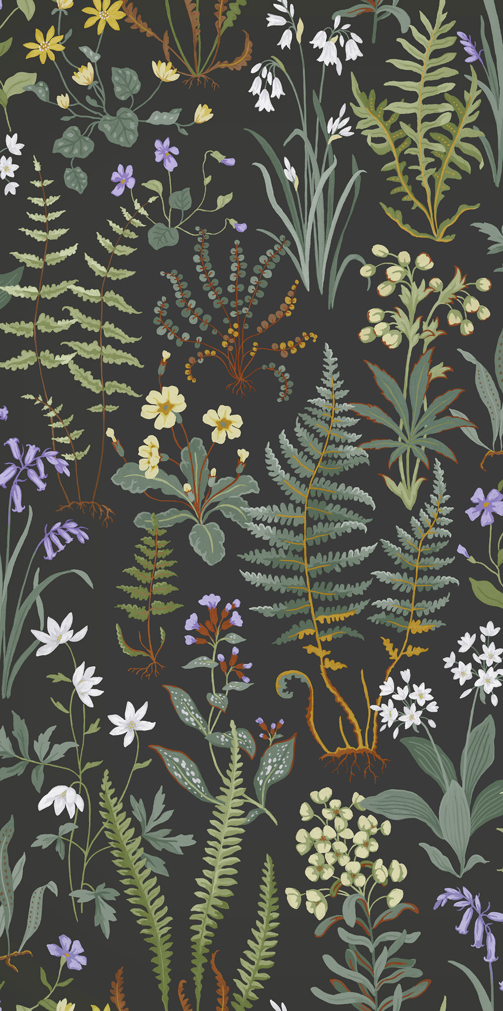 Wallpaper, black, flowers, ferns, 130312, Concerto, Graham Brown Premium