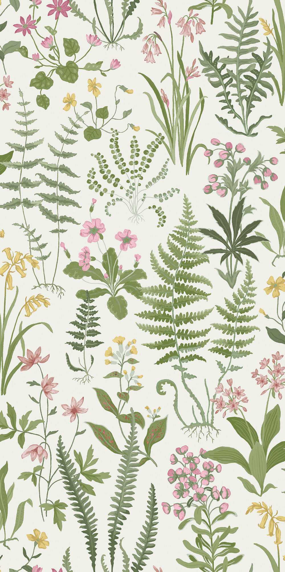Wallpaper, cream, flowers, ferns, 130317, Concerto, Graham Brown Premium