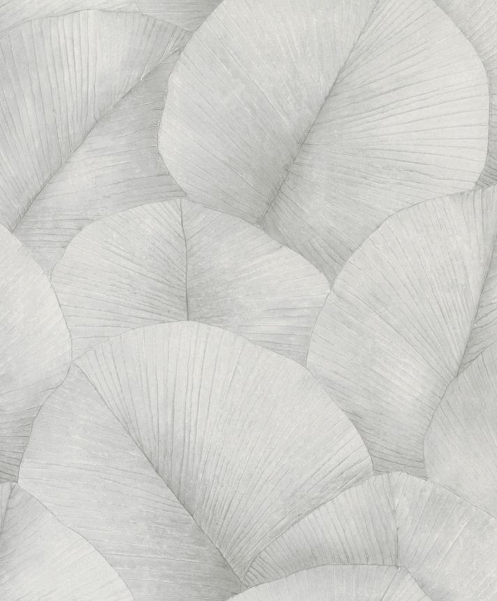 Wallpaper, grey, leaves, 34509, Kumano, Marburg