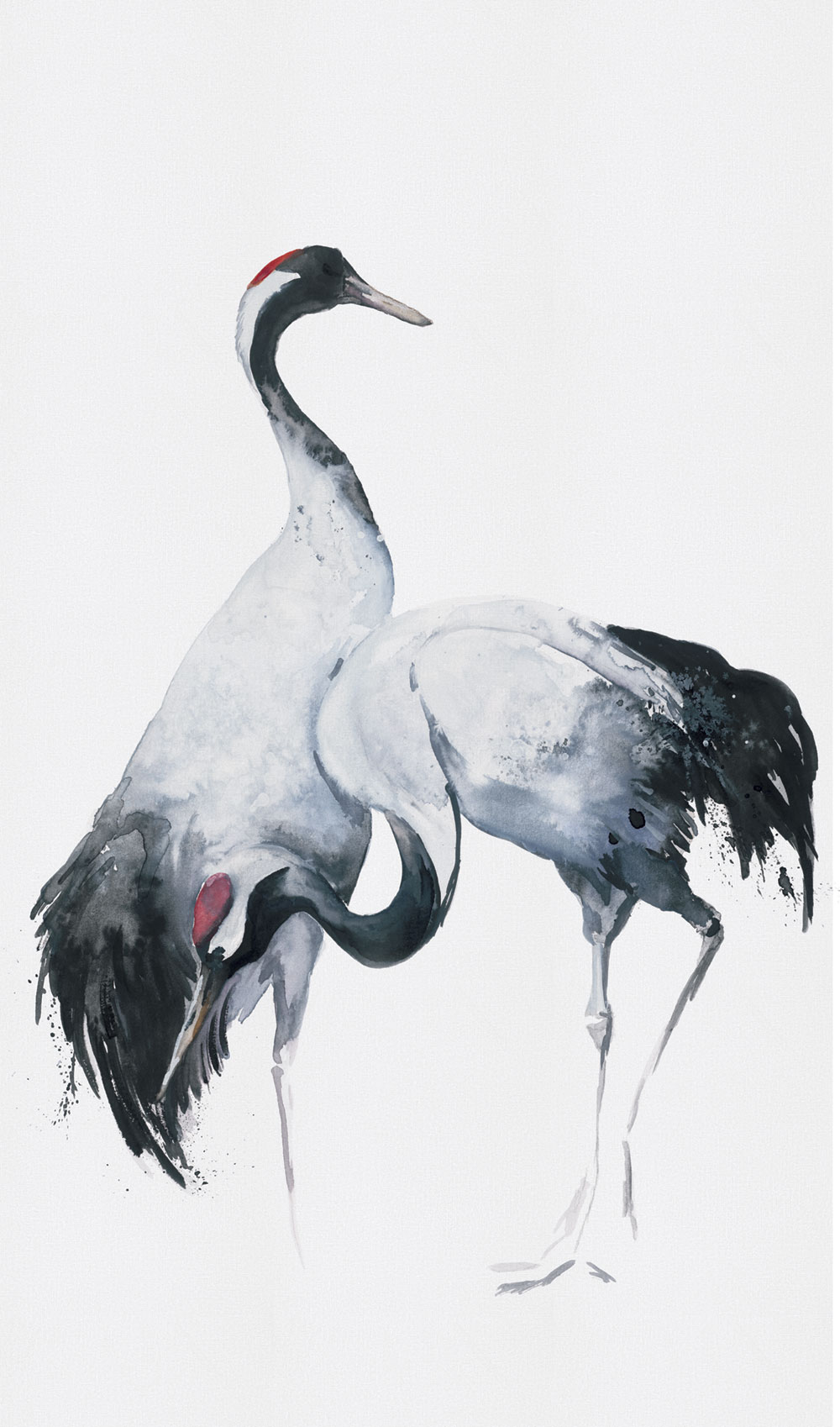 Wall mural, birds, herons, 34596, Kumano, Marburg