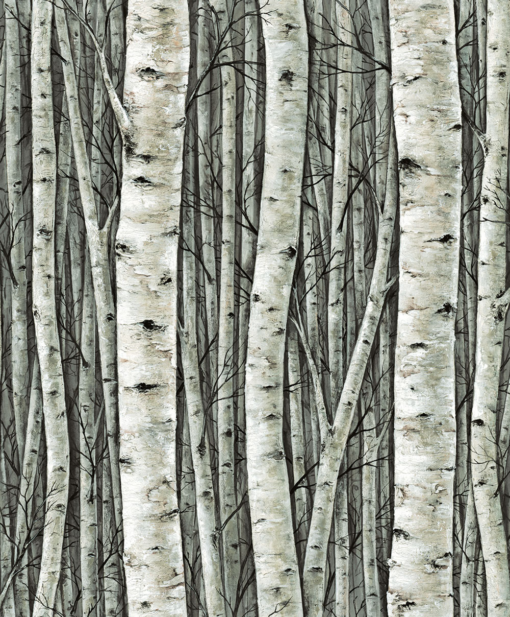 Wallpaper, green, trees, birch grove, 35380, Timber, Marburg