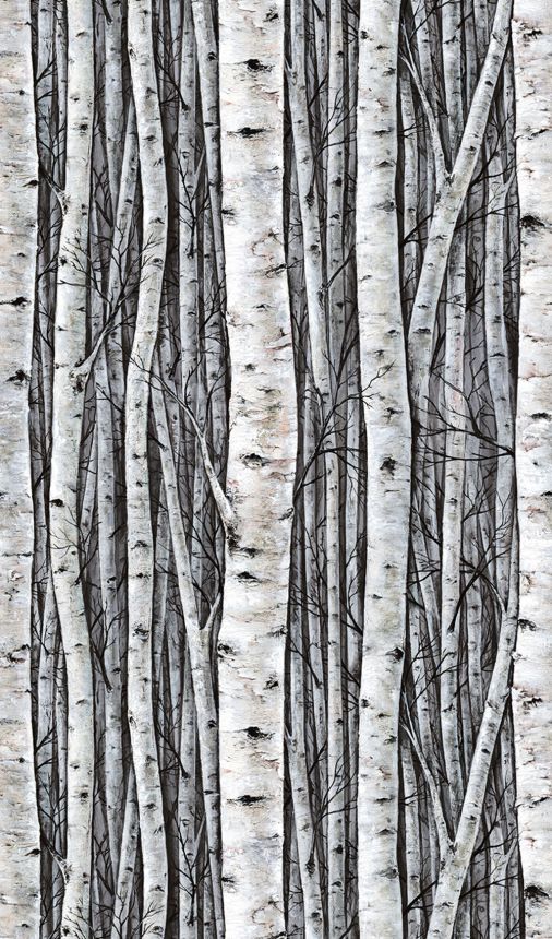 Mural wallpaper, grey-blue, trees, birch grove, 35395, Timber, Marburg