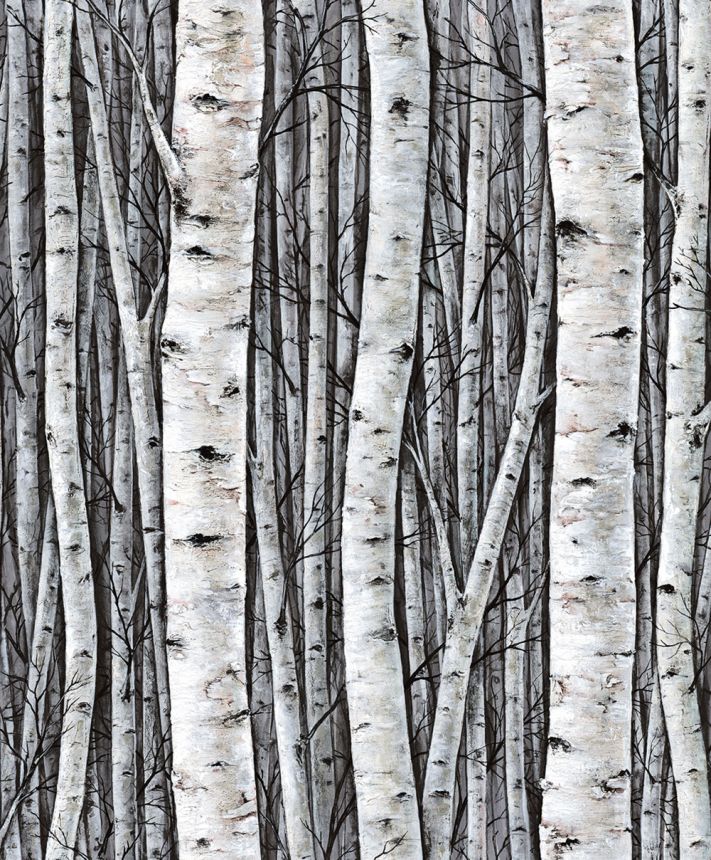 Wallpaper, grey-blue, trees, birch grove, 35397, Timber, Marburg