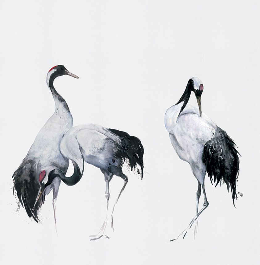 Wall mural, birds, herons, 34593, Kumano, Marburg