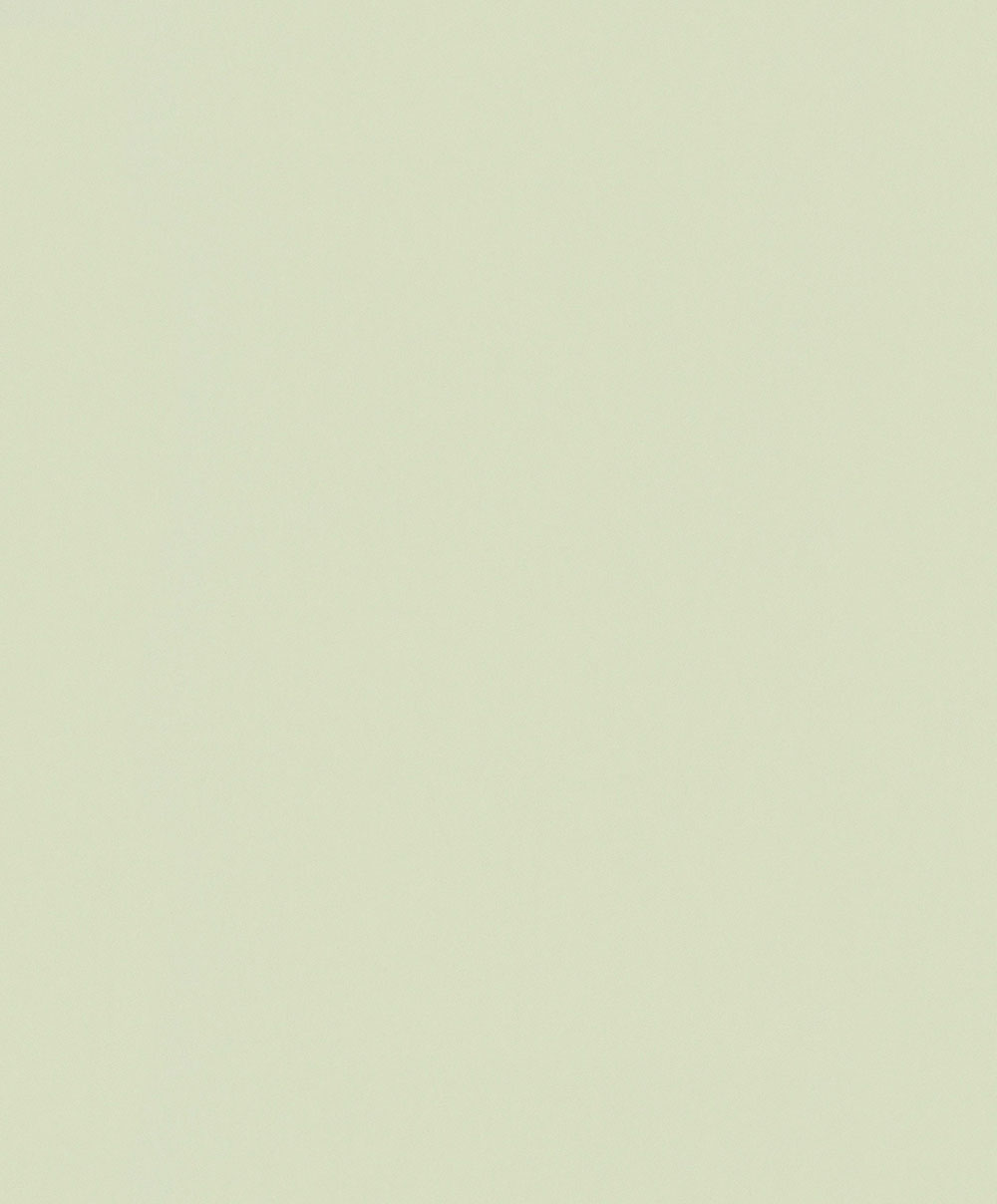 Wallpaper, Green, 82520, Naomi, Novamur