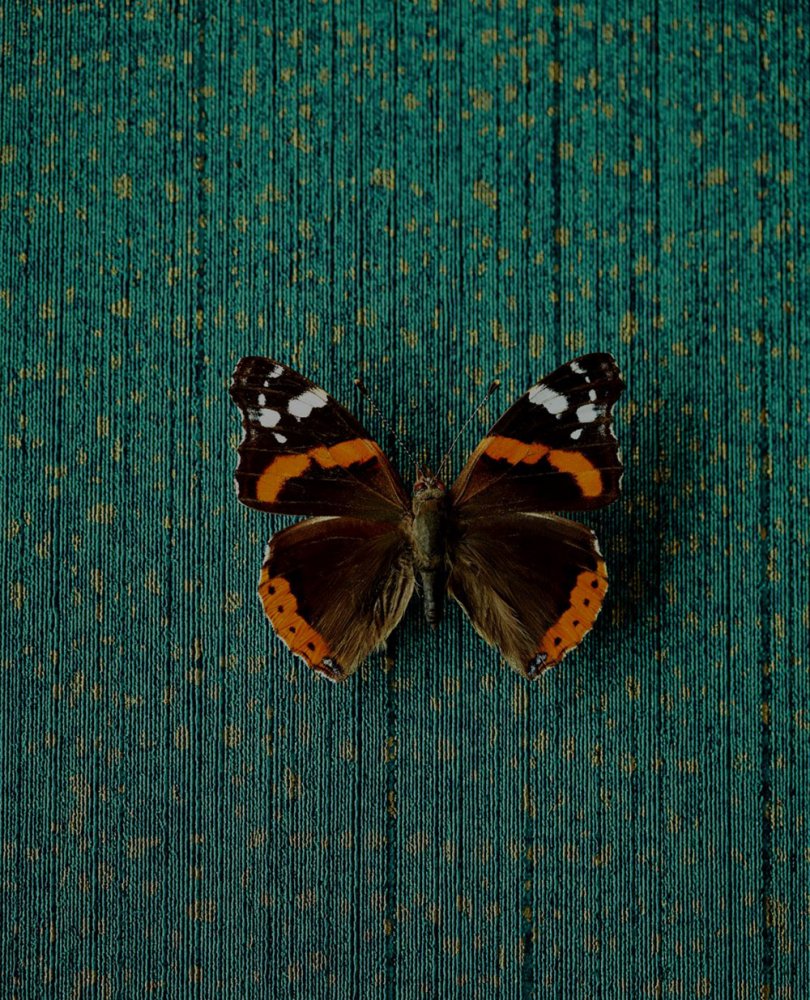 Luxury non-woven wallpaper 307351, Museum, Eijffinger