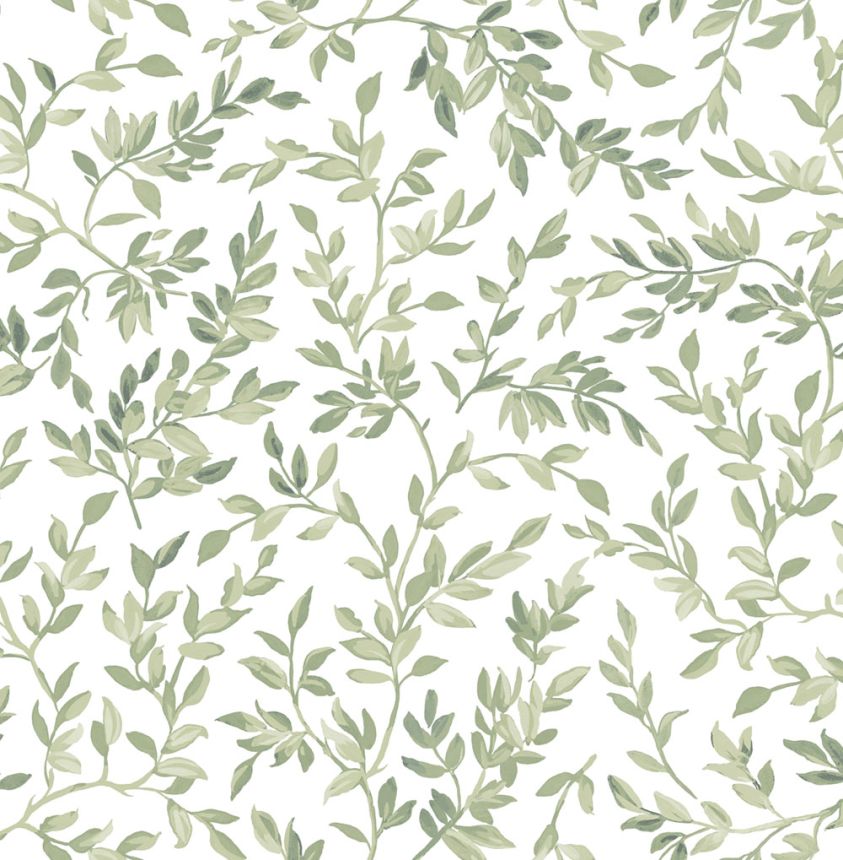 Wallpaper, green, branches, leaves, 142345, Allurium, Graham Brown Premium