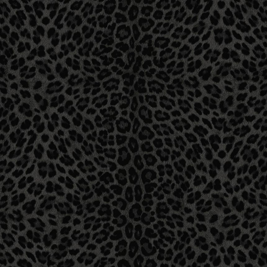 Wallpaper, black, gold, imitation leopard skin, Z81031, Philipp Plein 2, Zambaiti Parati