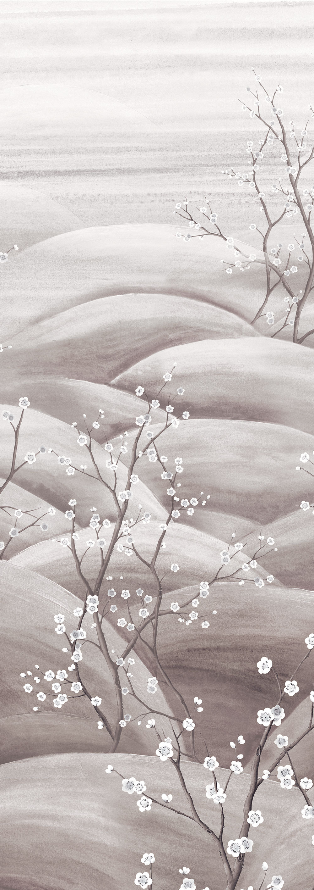 Mural wallpaper, grey, white, flowering cherry blossom branches, DGTRA5032-300, Traces, Masureel
