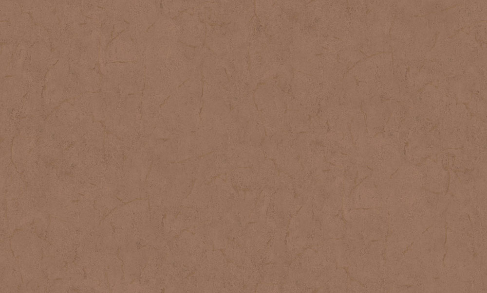 Wallpaper, brown, plaster effect, 6619, Metamorphosis, Pigmenta, Parato by Cristiana Masi