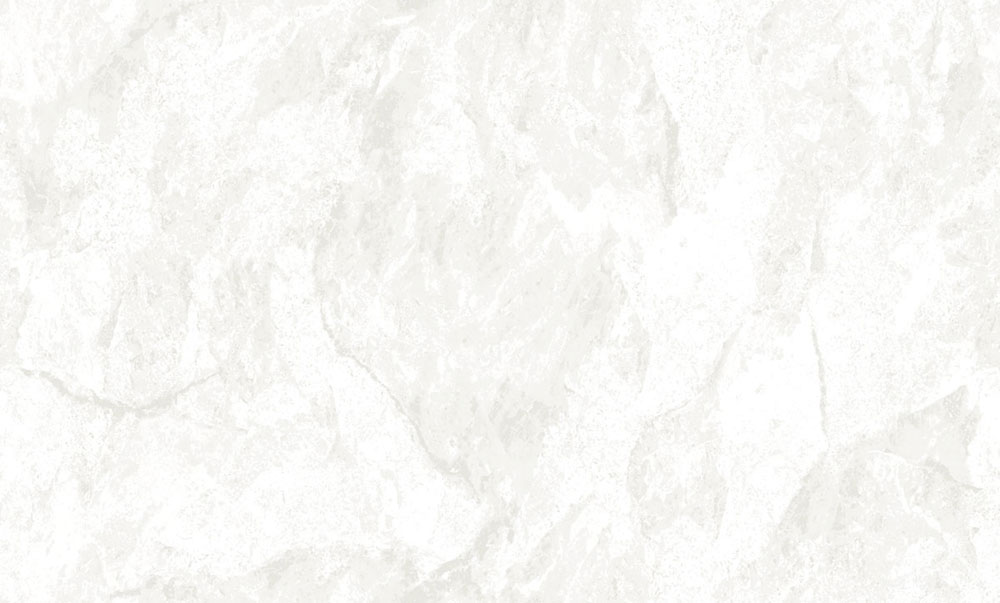 Wallpaper, silver, white, stucco effect, 6646, Metamorphosis, Pigmenta, Parato by Cristiana Masi