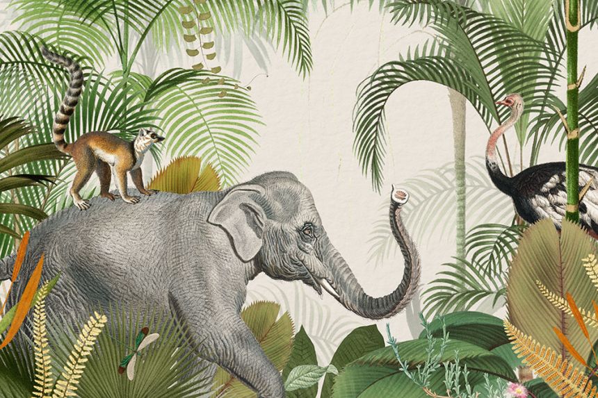 Custom Wall Mural, Jungle Animals, 10186, Vavex
