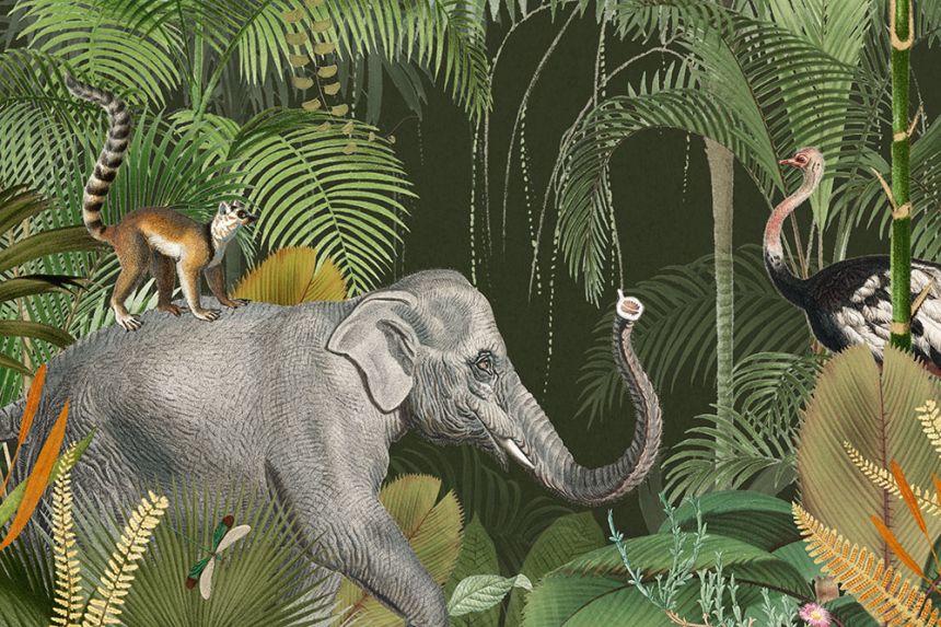 Custom Wall Mural, Jungle at Night, Animals, 10188, Vavex