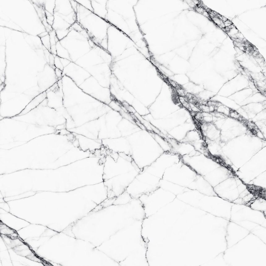 wall mural, Black and white marble 158942, 300x300cm, Black & White, Esta