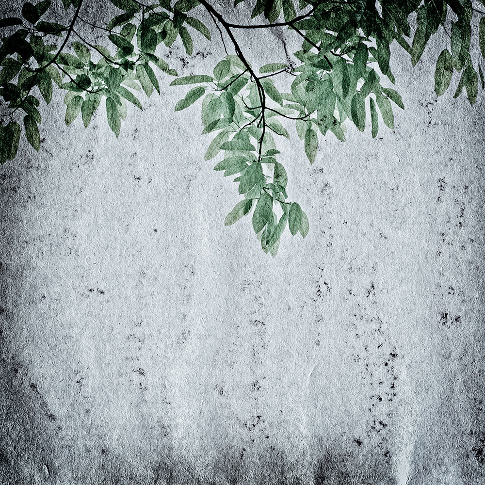Custom Wall Murals, Twigs and Leaves, 10199, Vavex
