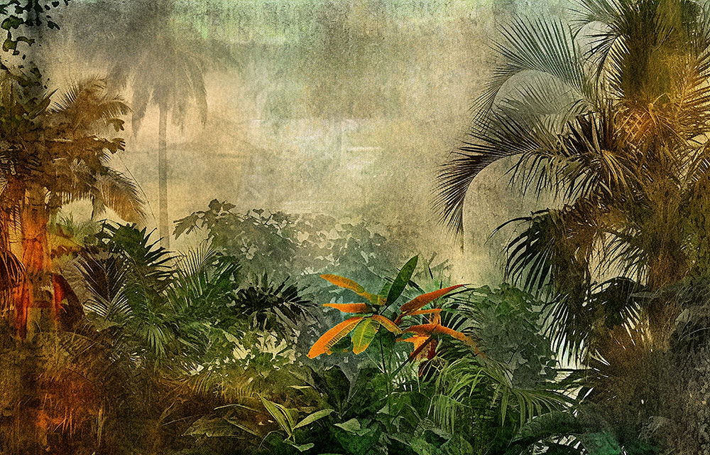 Custom Wall Murals, Jungle, 10207, Vavex