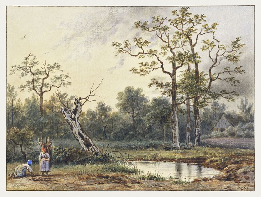 Custom Wall Murals, Cottage in the Forest, 10208, Vavex