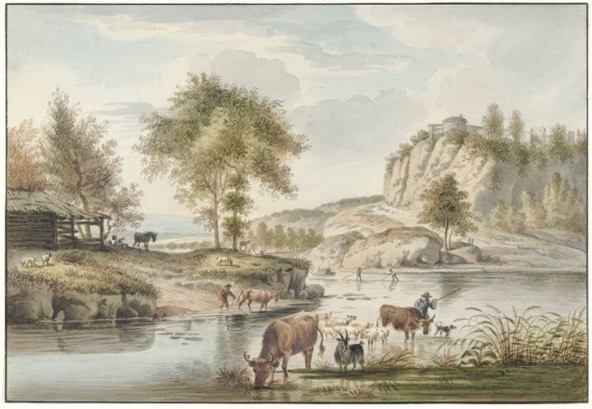 Custom Wall Murals, Animals by the River, 10209, Vavex