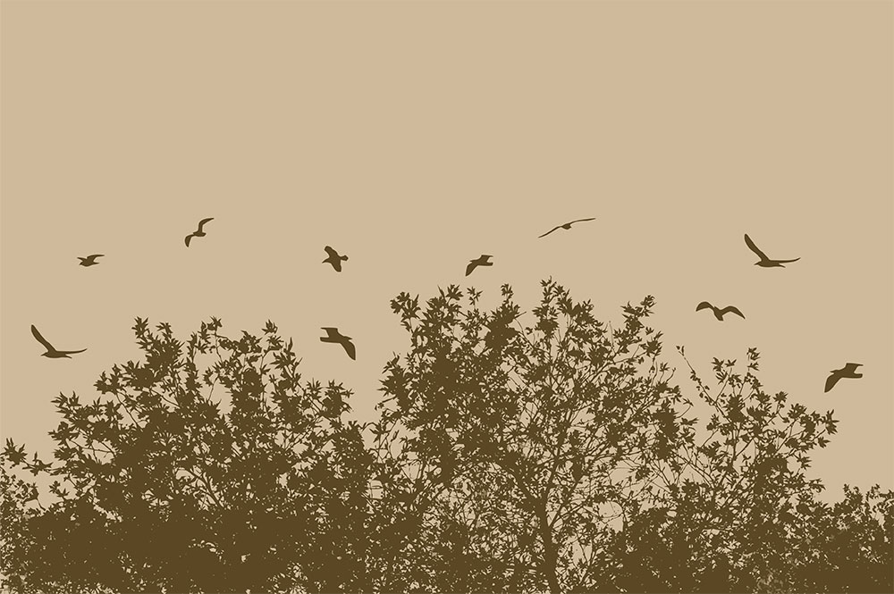Custom Wall Murals, Birds Above the Forest, 10224, Vavex